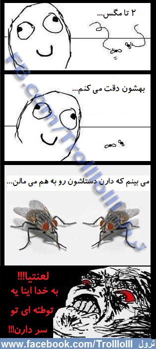 http://yazdfarda.com/media/news_gal/file_3125.jpeg