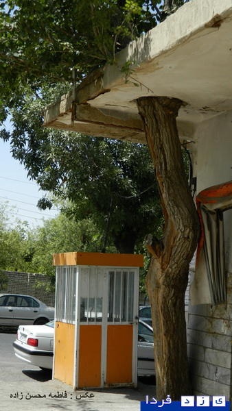 http://www.yazdfarda.com/media/news_gal/file_6181.jpeg