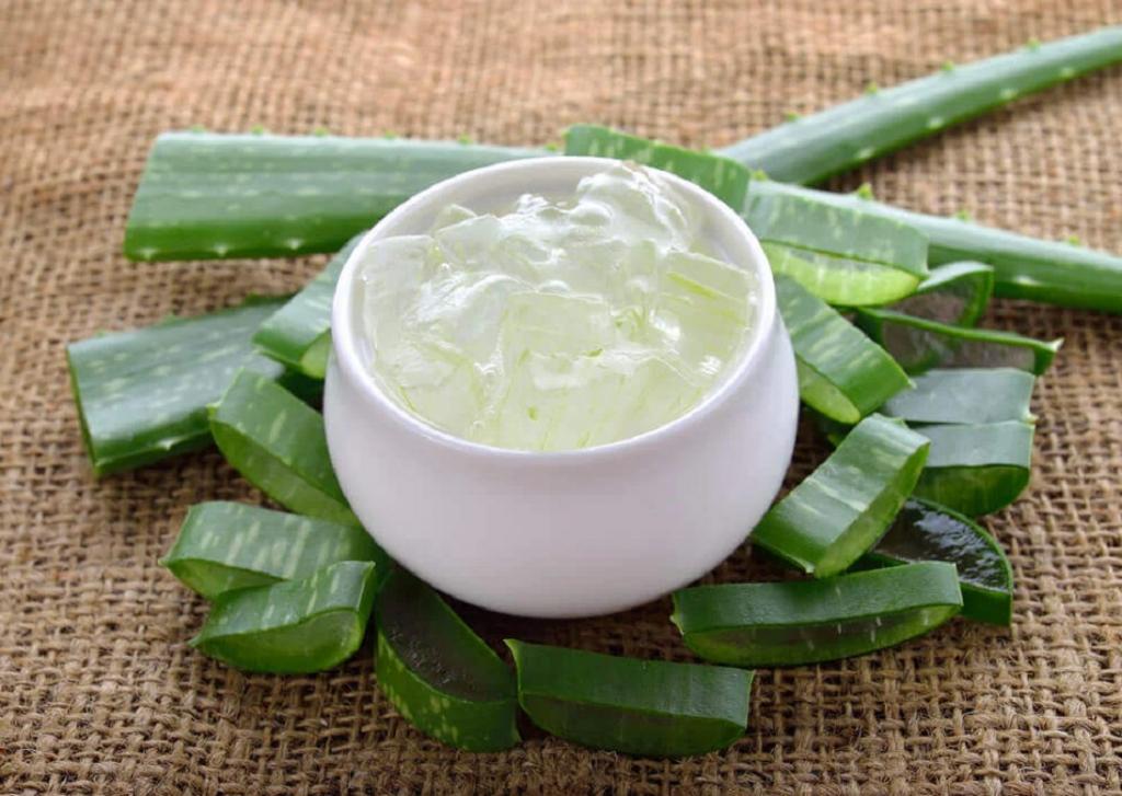 روش استفاده از آلوئه ورا برای رفع یبوست، سوزش معده، جوش و لک، درمان دیابت و تقویت رشد مو