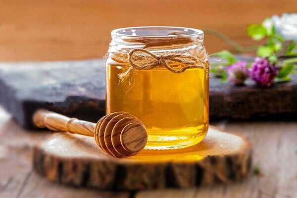 هر آنچه باید درباره فواید شگفت‌انگیز عسل برای سلامتی بدانید