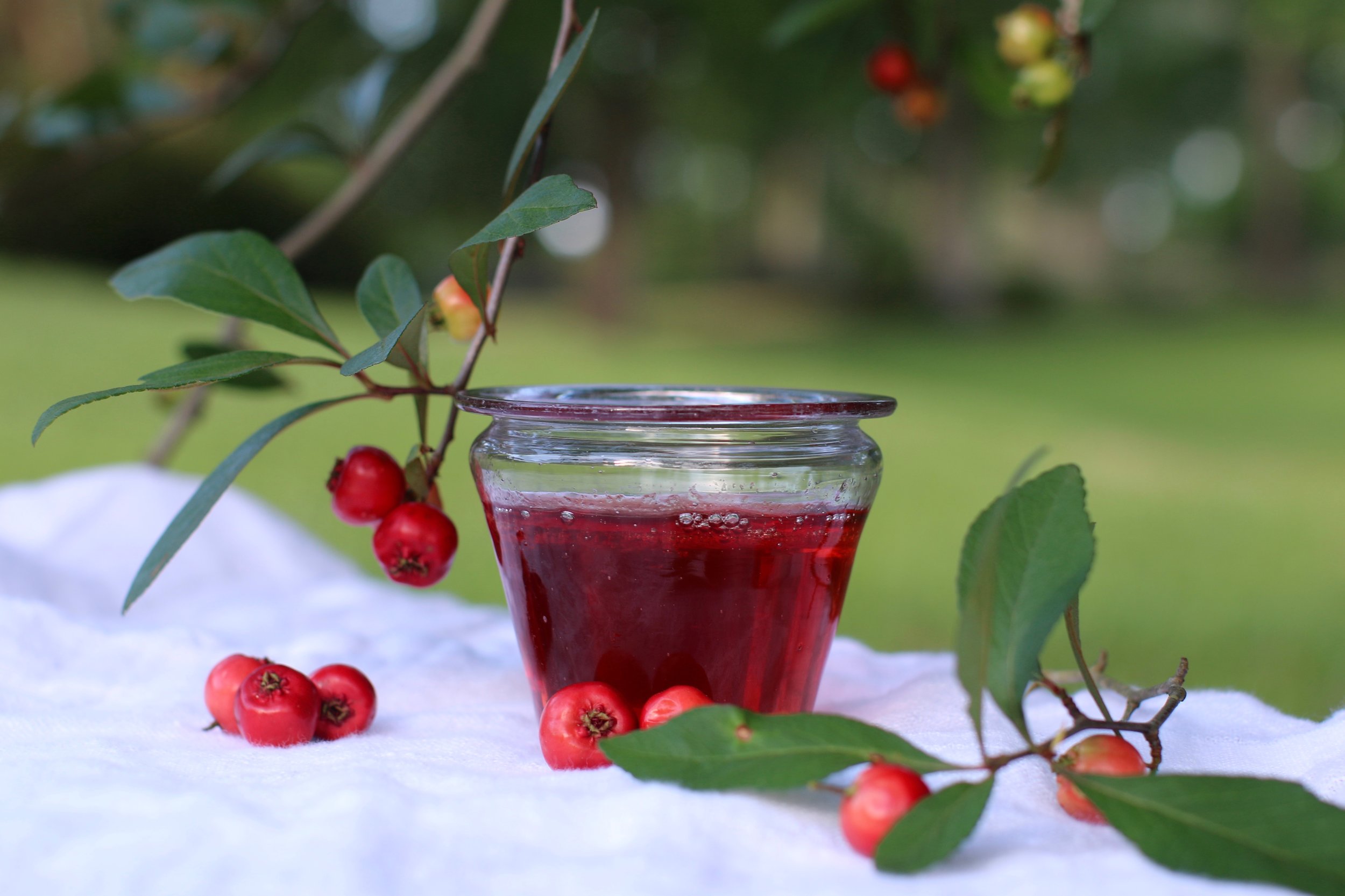 میوه کوچک قرمز با خواص معجزه‌آسا برای قلب و بدن