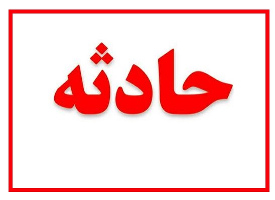 تنها جنگل طبیعی زرشک اردکان دچار حریق شد